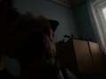 IMGP3538.JPG